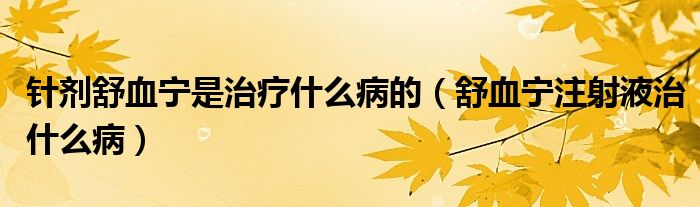 针剂舒血宁是治疗什么病的（舒血宁注射液治什么病）
