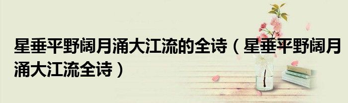 星垂平野阔月涌大江流的全诗（星垂平野阔月涌大江流全诗）