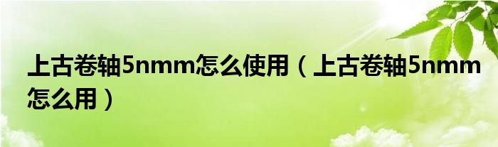 上古卷轴5nmm怎么使用（上古卷轴5nmm怎么用）