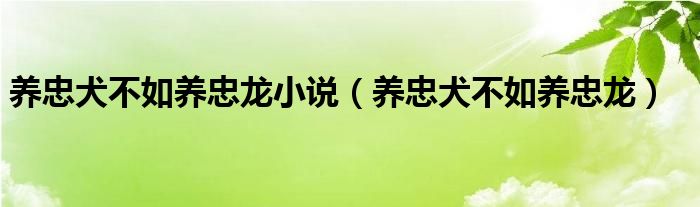 养忠犬不如养忠龙小说（养忠犬不如养忠龙）