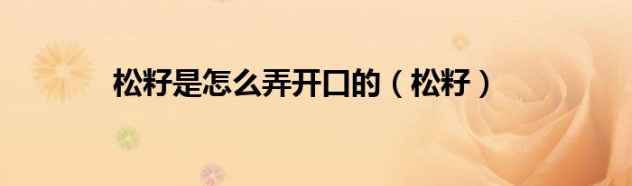松籽是怎么弄开口的（松籽）