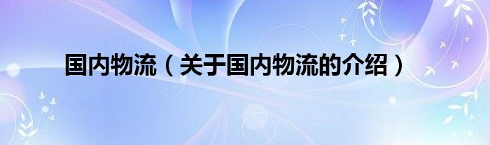 国内物流（关于国内物流的介绍）