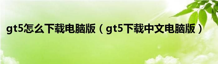 gt5怎么下载电脑版（gt5下载中文电脑版）