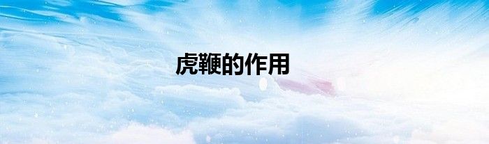 虎鞭的作用