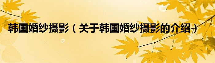 韩国婚纱摄影（关于韩国婚纱摄影的介绍）