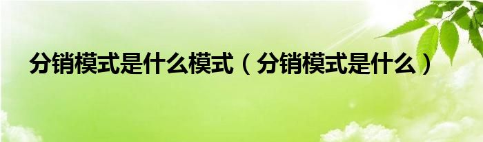 分销模式是什么模式(分销模式是什么)
