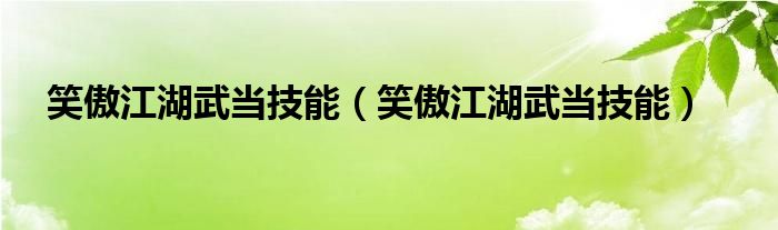 笑傲江湖武当技能（笑傲江湖武当技能）