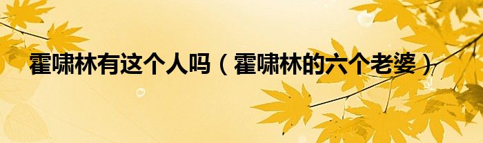 霍啸林有这个人吗（霍啸林的六个老婆）