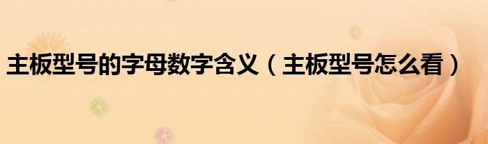 主板型号的字母数字含义（主板型号怎么看）