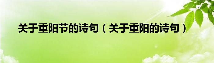 关于重阳节的诗句（关于重阳的诗句）