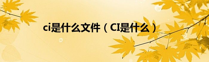 ci是什么文件(CI是什么)