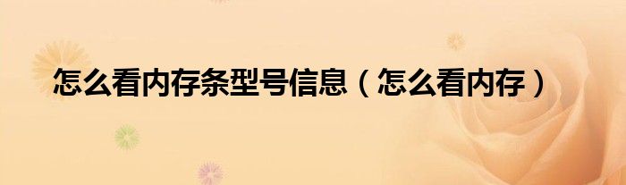 怎么看内存条型号信息(怎么看内存)