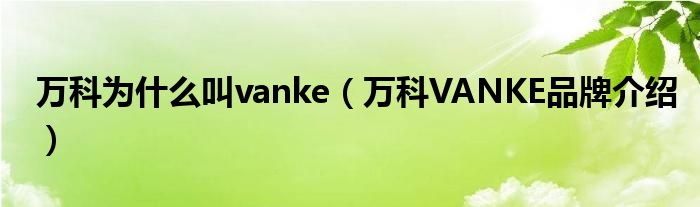 万科为什么叫vanke（万科VANKE品牌介绍）