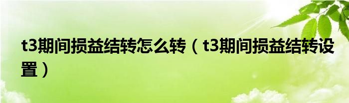 t3期间损益结转怎么转（t3期间损益结转设置）