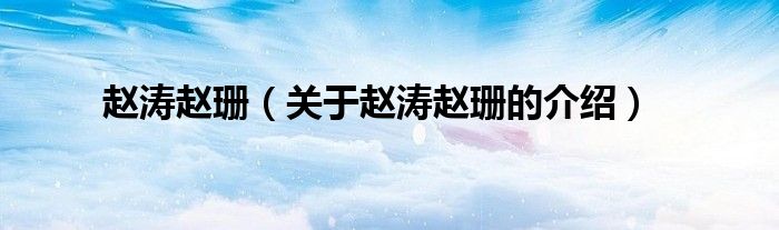 赵涛赵珊(关于赵涛赵珊的介绍)