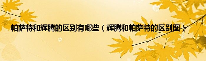 帕萨特和辉腾的区别有哪些（辉腾和帕萨特的区别图）