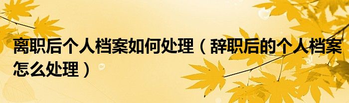 离职后个人档案如何处理（辞职后的个人档案怎么处理）