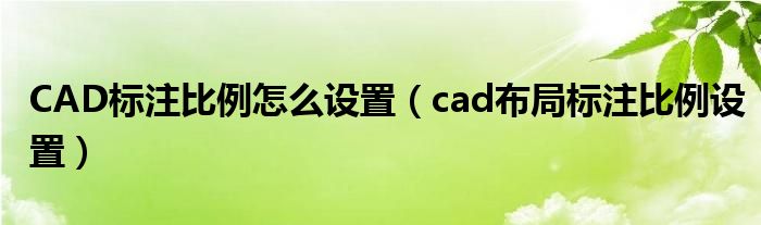 CAD标注比例怎么设置(cad布局标注比例设置)