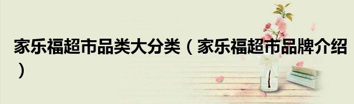 家乐福超市品类大分类(家乐福超市品牌介绍)