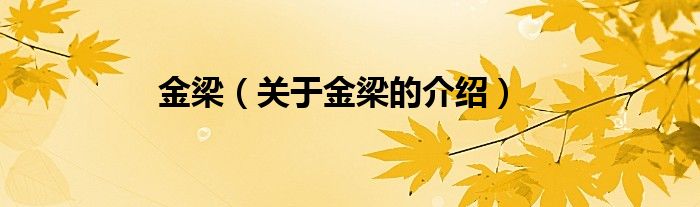 金梁（关于金梁的介绍）