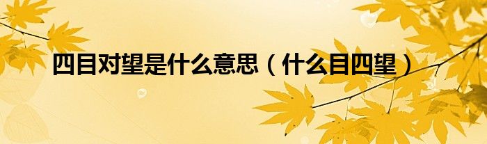 四目对望是什么意思(什么目四望)