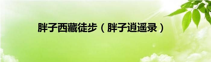 胖子西藏徒步(胖子逍遥录)