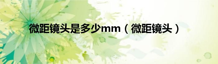 微距镜头是多少mm（微距镜头）