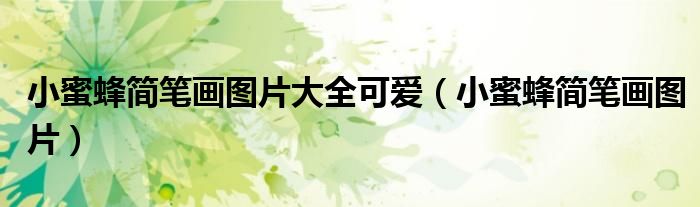 小蜜蜂简笔画图片大全可爱(小蜜蜂简笔画图片)